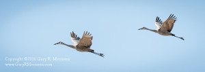 An afternoon flight