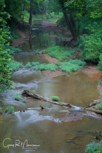 Bogard Creek Hoosier NF Crawford County IN
