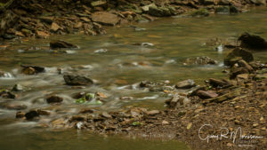 Caught in the current Anderson River Hoosier NF Crawford County