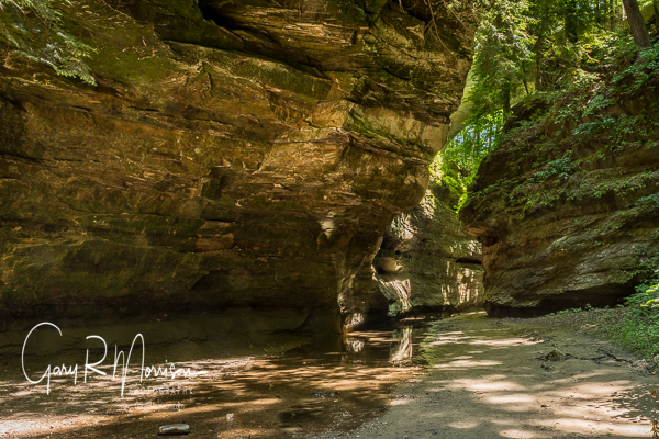 Carving Out Nature Turkey Run State Park