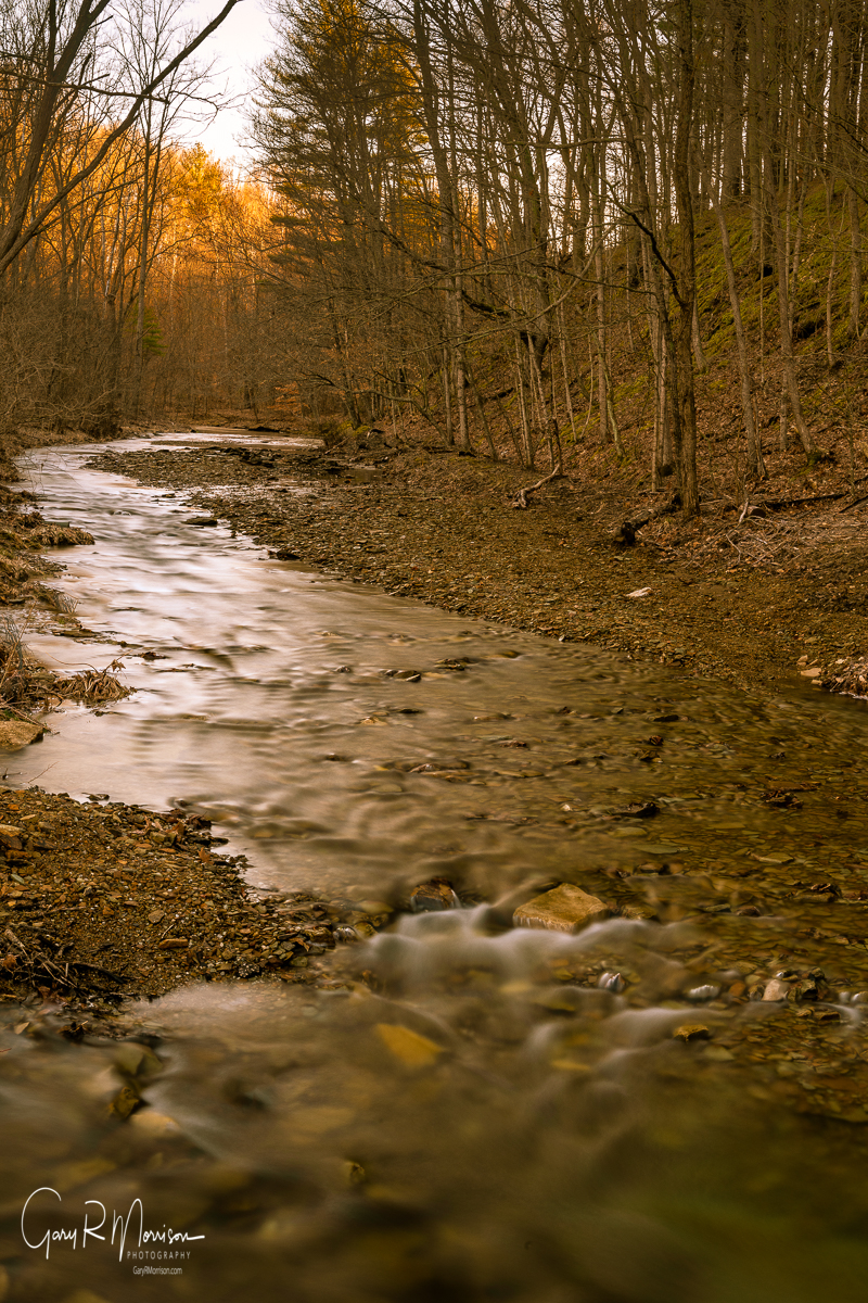 Skinner creek with water