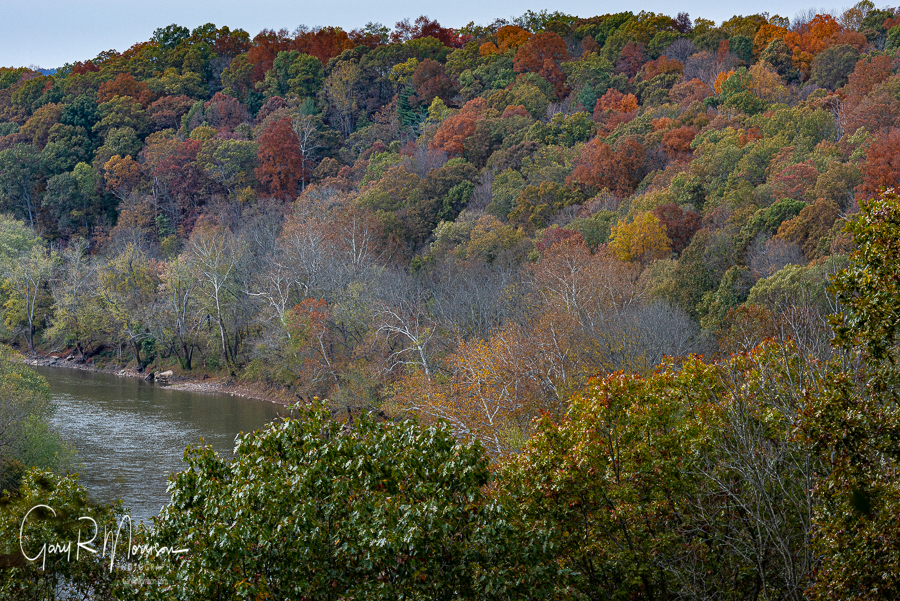 Fall color on the East Fork of the White RIver Martin County IN