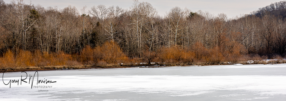 Winter color on a frozen Lake Monroe