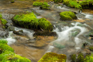 Moss Covered Rocks Caver RIver Natural Area Washington County IN
