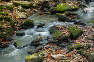 Fall morning II at Mill Creek Spring Mill SP IN