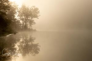 Trees in the fog at Ogle Lake BCSP IN