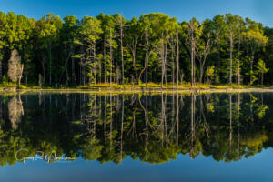 Calm of the morning Sundance Lake HNF Brown County IN