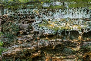 Face of a Sandstone Cliff Bluffs of Beaver Bend Martin County Indiana