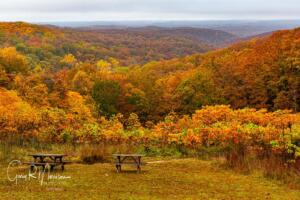 Fall colors at Inspiration Point Brown County SP IN