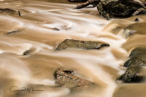 Rapids II on McCormicks Creek McCormicks Creek State Park Owen County IN